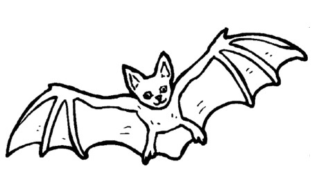 Dibujo de murciélago para colorear en Halloween